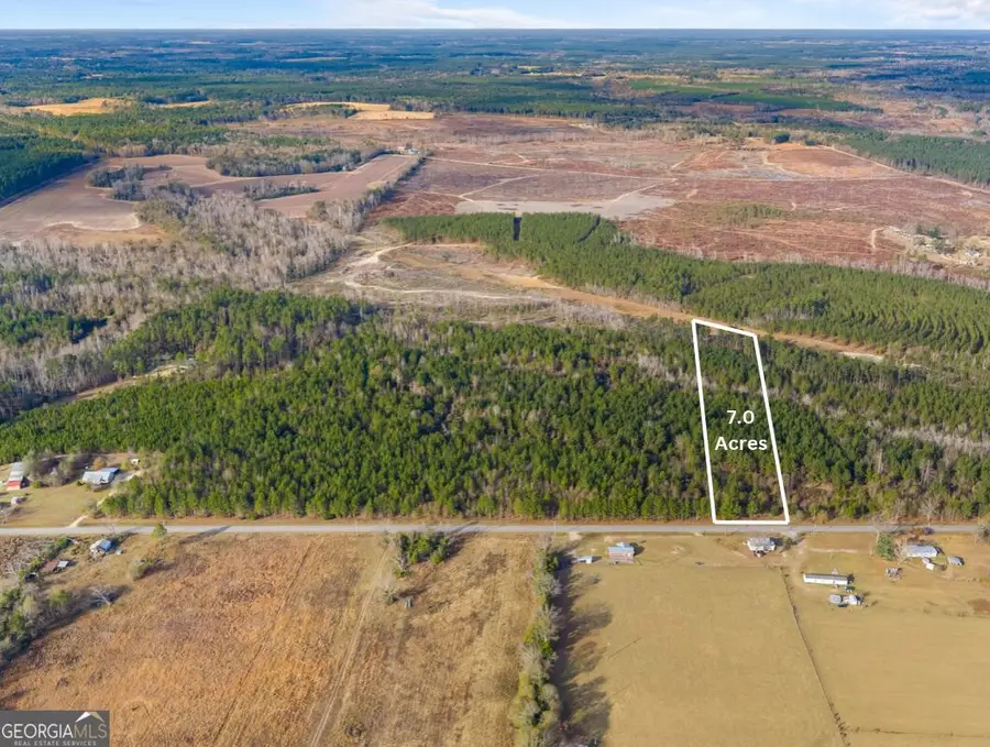0 Quick Road (7 Acres), Swainsboro, GA 30401 - #2