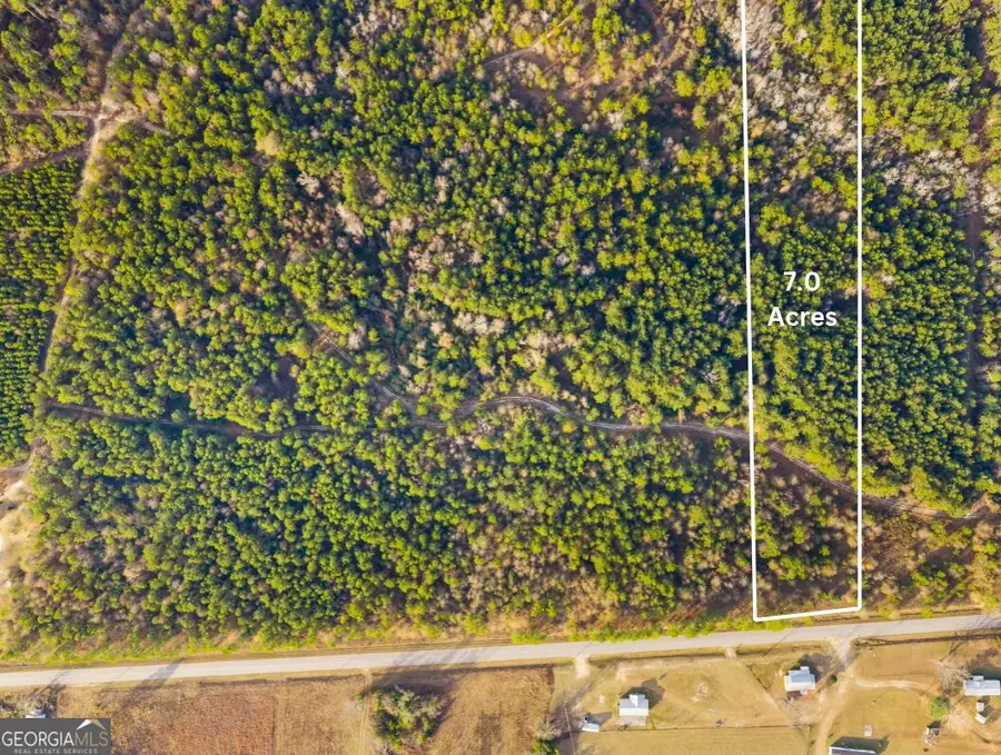 0 Quick Road (7 Acres), Swainsboro, GA 30401 - #3