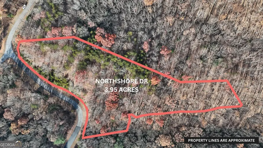 LOT 184 Northshore Drive, Cleveland, GA 30528 - #2