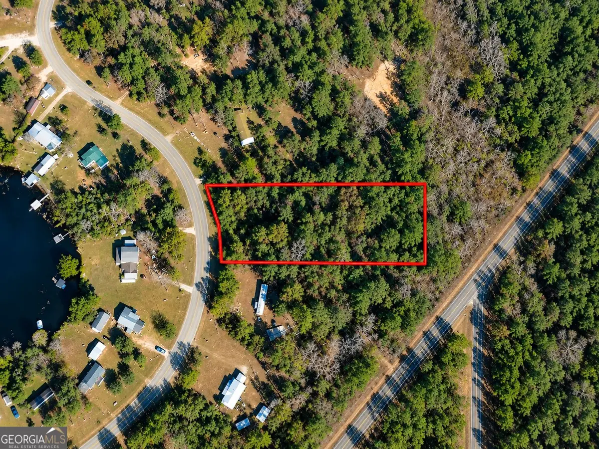 1.95 ACRES Lake Carroll Drive, Donalsonville, GA 39845 - #1