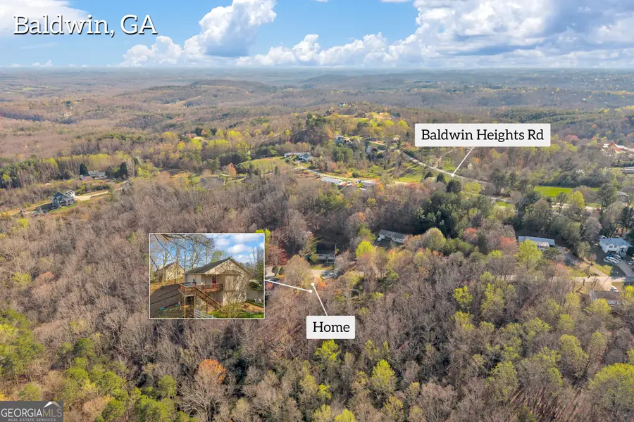 415 Ivory Drive, Banks, GA 30511 - #2