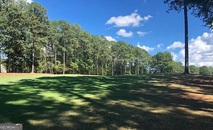 1580 Club Drive, Greensboro, GA 30642 - #3