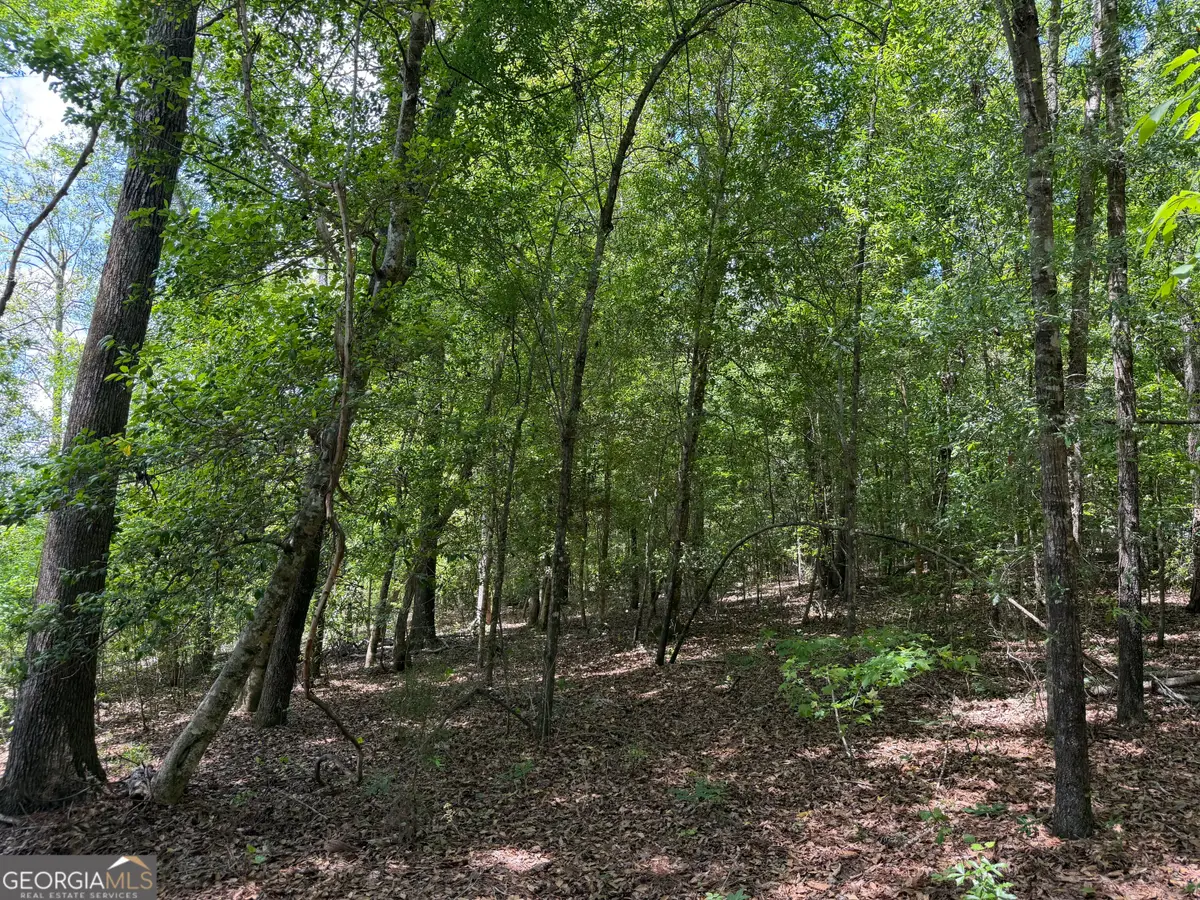 045 Little Sandy Creek Road, Toomsboro, GA 31090 - #1