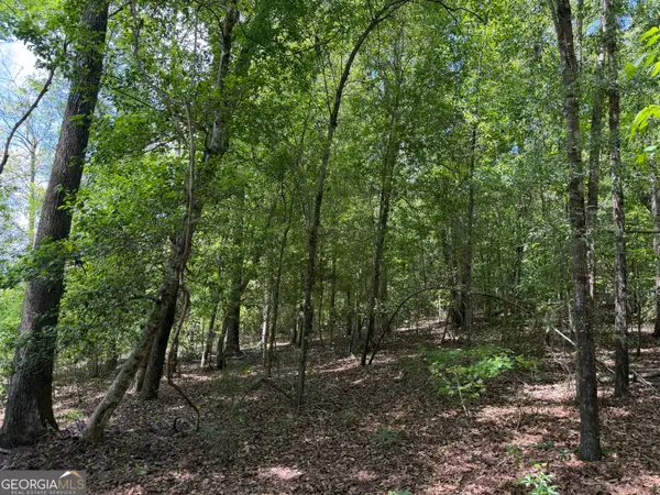 045 Little Sandy Creek Road, Toomsboro, GA 31090