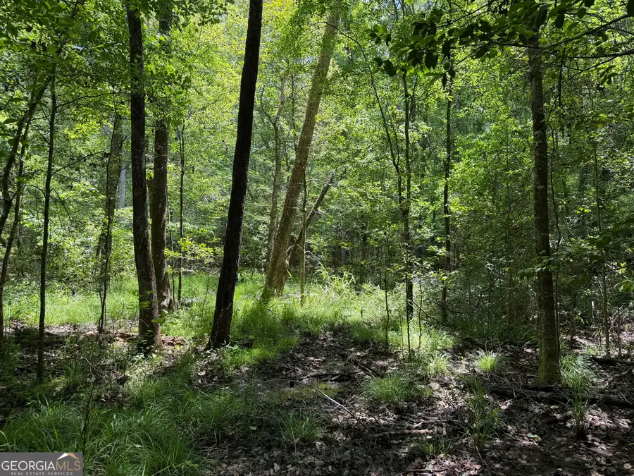 045 Little Sandy Creek Road, Toomsboro, GA 31090 - #3