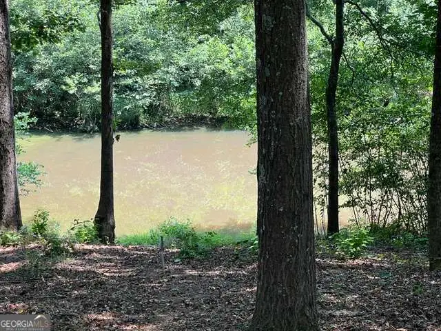 196 Old Scout Road, Jackson, GA 30233 - #3