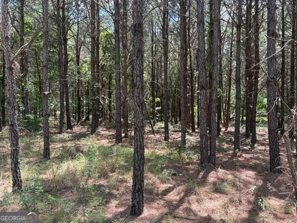 L3 Ga-56, Waynesboro, GA 30830