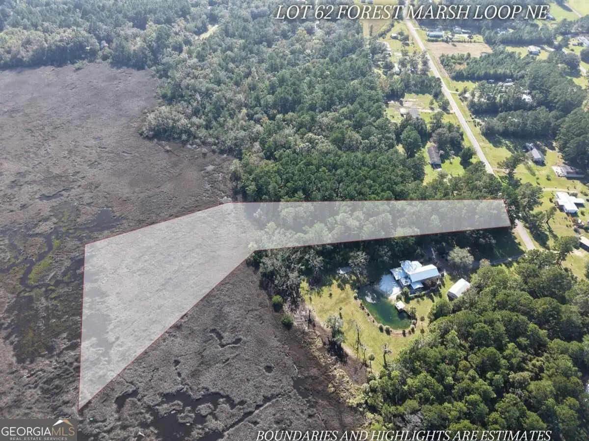 LOT 62 Forest Marsh Loop Ne, Townsend, GA 31331 - #1