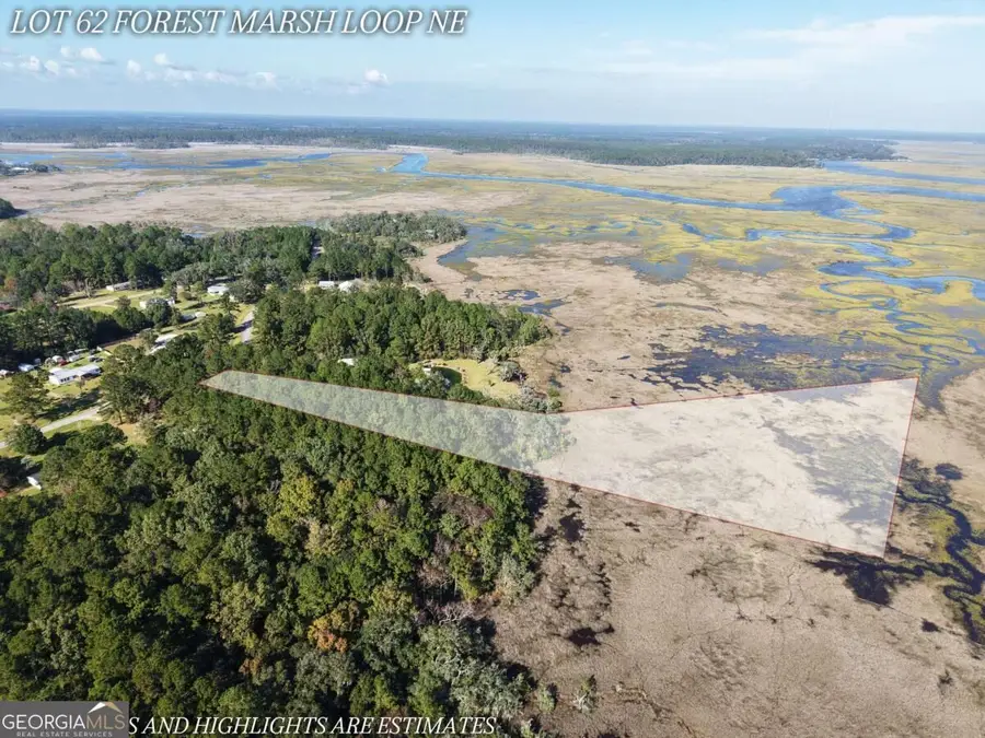 LOT 62 Forest Marsh Loop Ne, Townsend, GA 31331 - #2