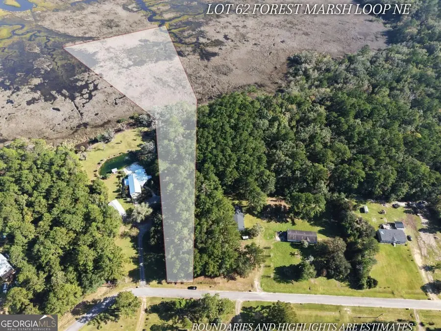 LOT 62 Forest Marsh Loop Ne, Townsend, GA 31331 - #3