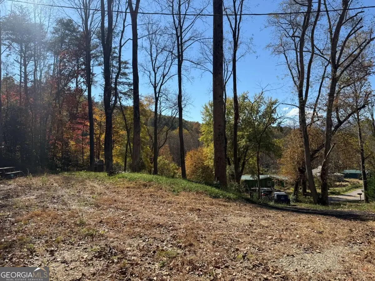 2180 Bugscuffle Spur, Hiawassee, GA 30546 - #1