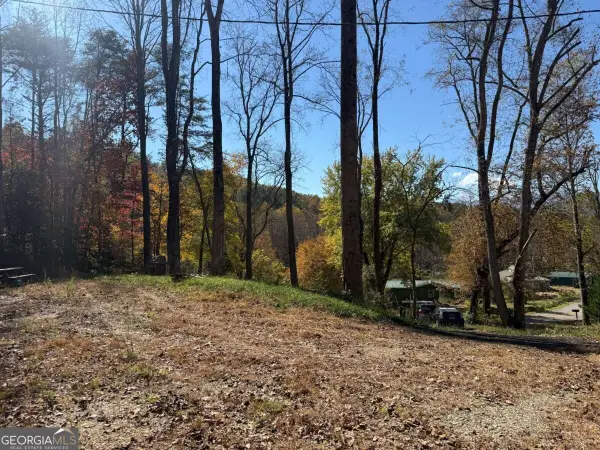 2180 Bugscuffle Spur, Hiawassee, GA 30546