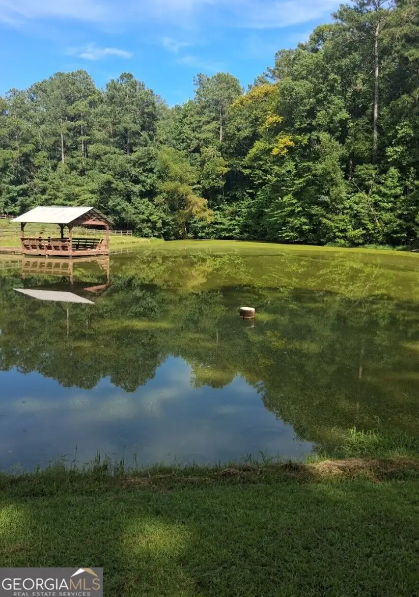 1523 Braswell Mountain Road, Dallas, GA 30132 - #2