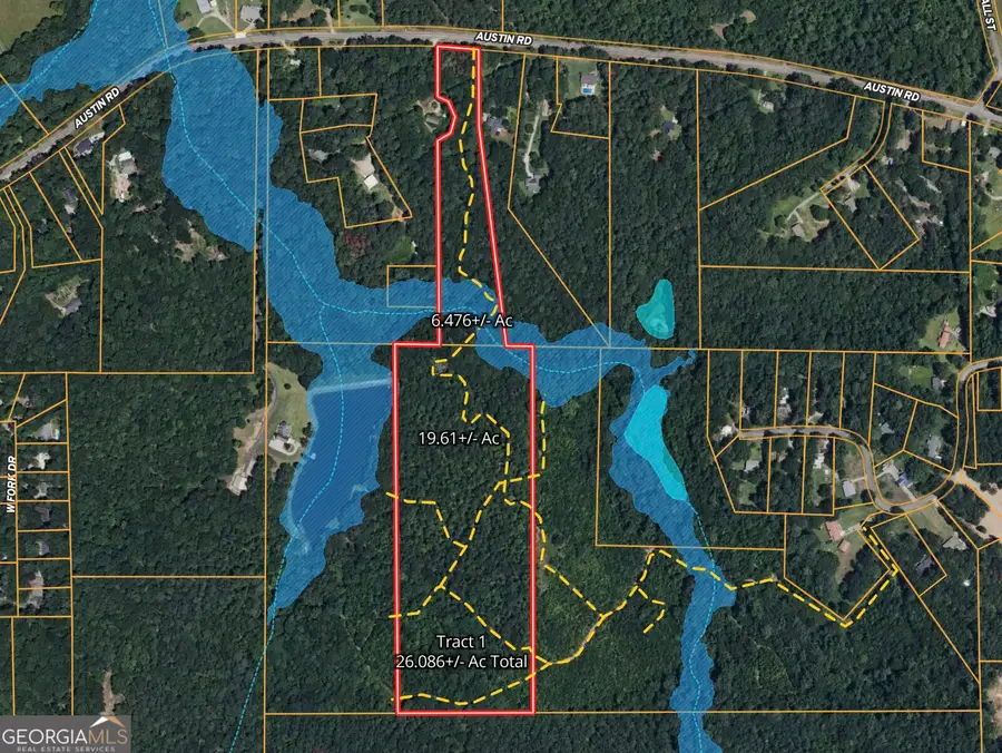 0 Austin Road, Newnan, GA 30263 - #2