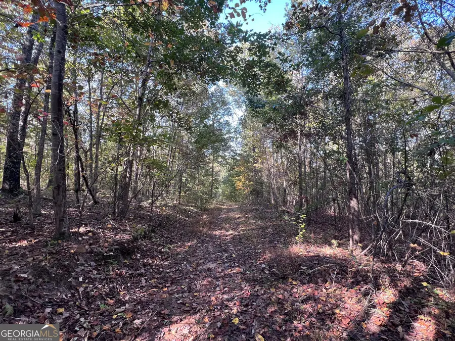 0 Austin Road, Newnan, GA 30263 - #3