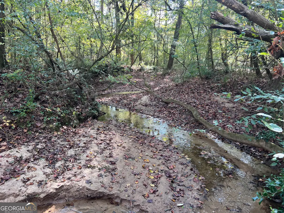 0 Sweeper Smith Road, Newnan, GA 30263 - #1