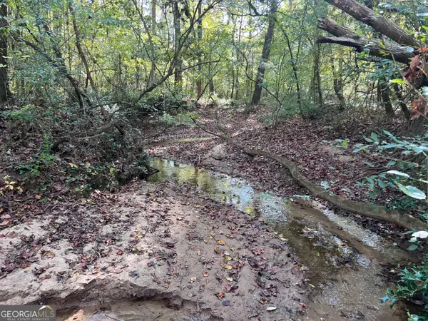 0 Sweeper Smith Road, Newnan, GA 30263