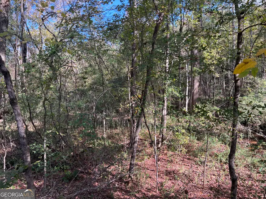 0 Sweeper Smith Road, Newnan, GA 30263 - #3