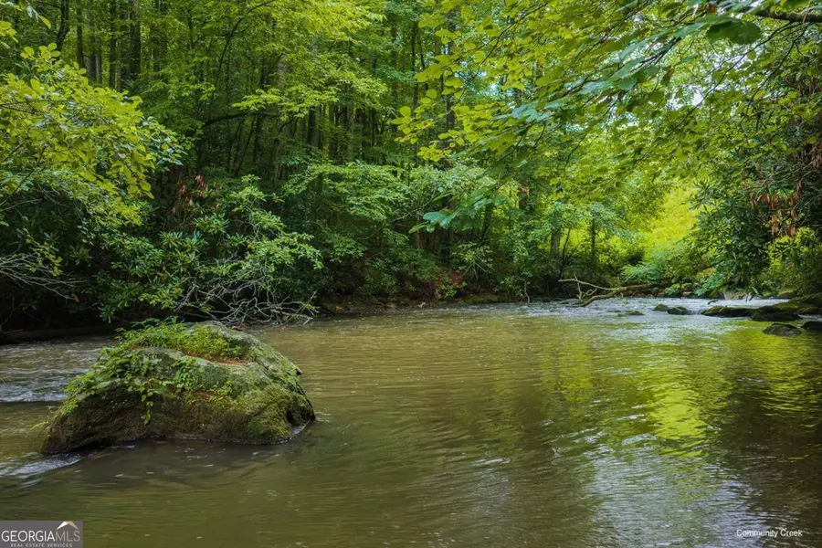 196 Creek Camp Road, Ellijay, GA 30536 - #2