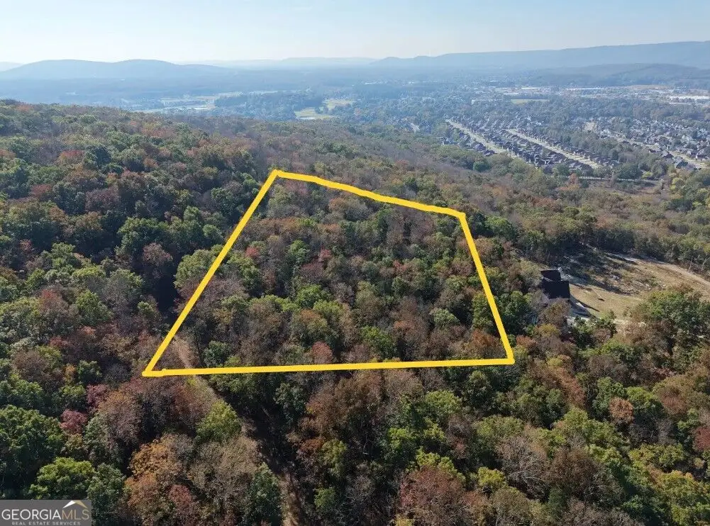 0 Andrew Road, Owens Cross Roads, AL 35763 - #1
