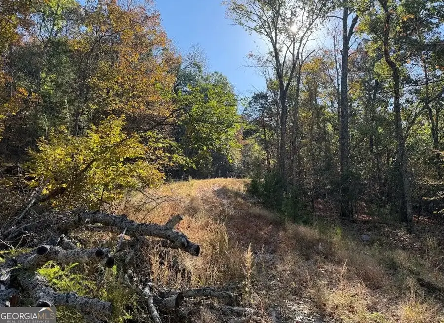 0 Andrew Road, Owens Cross Roads, AL 35763 - #3