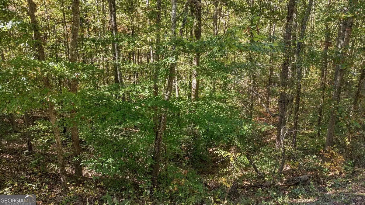 14 Price Lane, Dahlonega, GA 30533 - #1