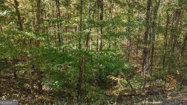14 Price Lane, Dahlonega, GA 30533