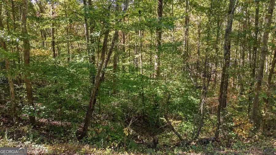 14 Price Lane, Dahlonega, GA 30533 - #2