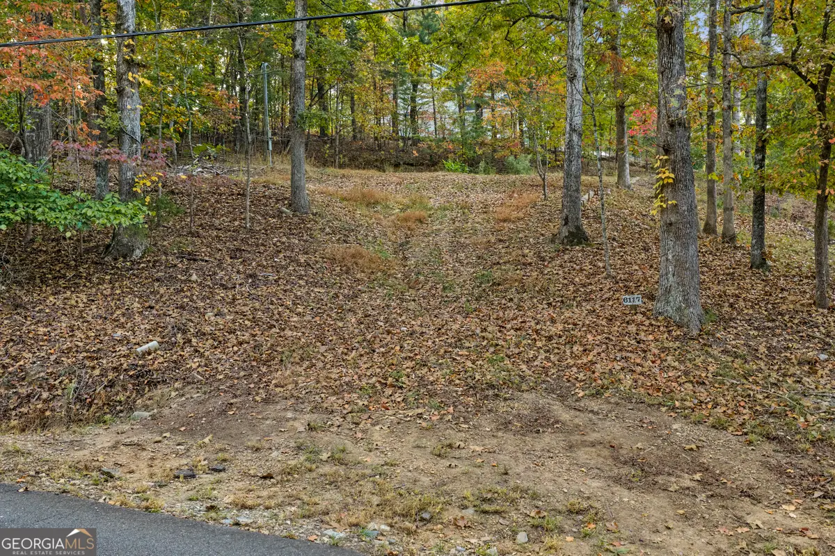 6117 Falcon Lane, Gainesville, GA 30506 - #1