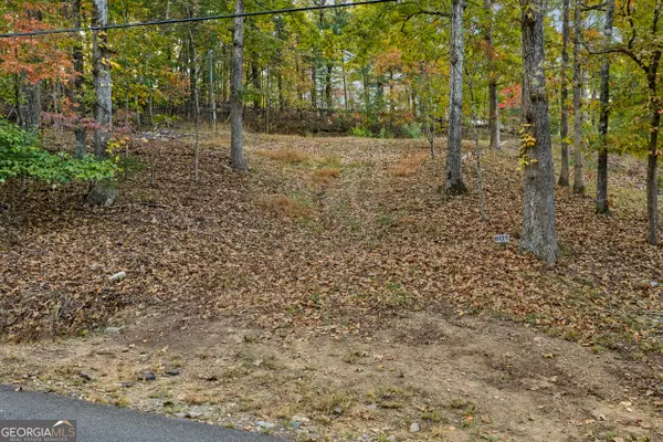 6117 Falcon Lane, Gainesville, GA 30506