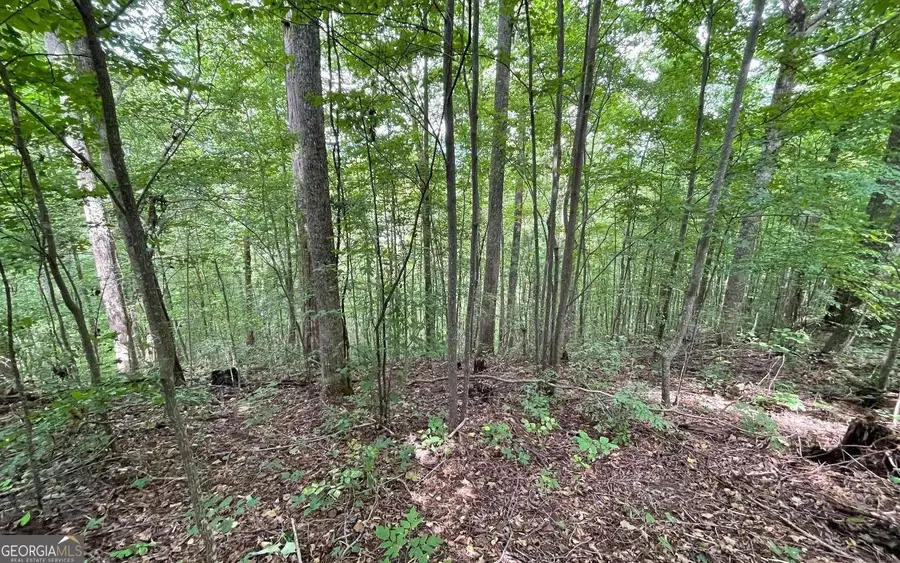 LOT 19 Bear Trail, Hiawassee, GA 30546 - Image #2