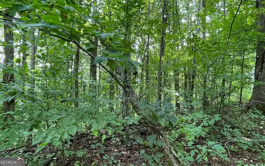 LOT 19 Bear Trail, Hiawassee, GA 30546 - Image #3