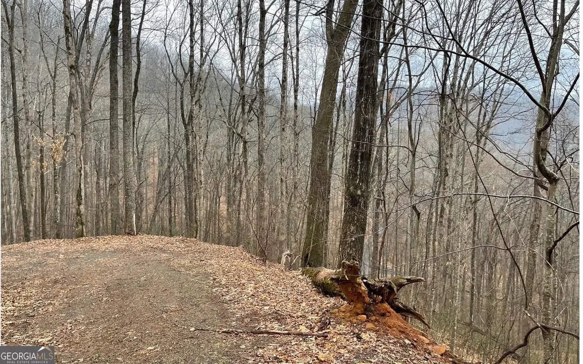 LOT 18 Shooting Creek Trails, Hayesville, NC 28904 - Image #1