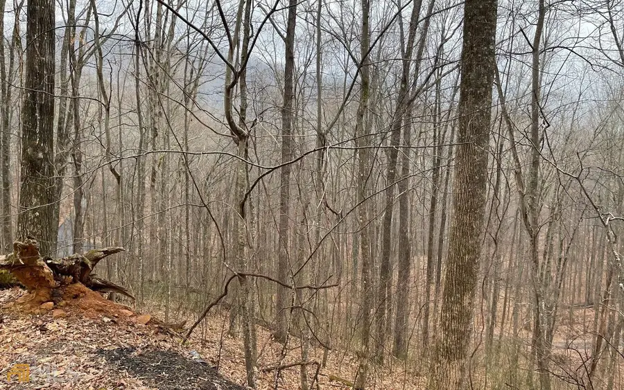 LOT 18 Shooting Creek Trails, Hayesville, NC 28904 - Image #2