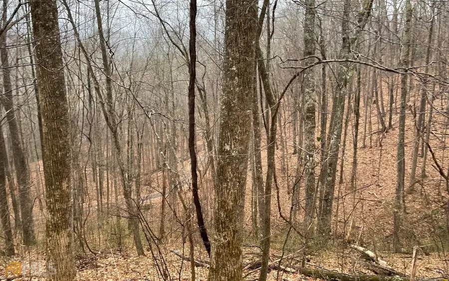 LOT 18 Shooting Creek Trails, Hayesville, NC 28904 - Image #3