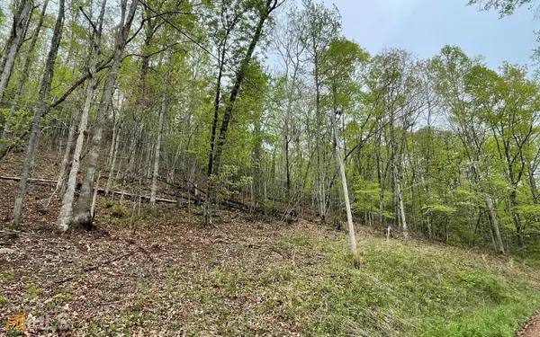 LOT 31 Nelson Ridge, Hayesville, NC 28904