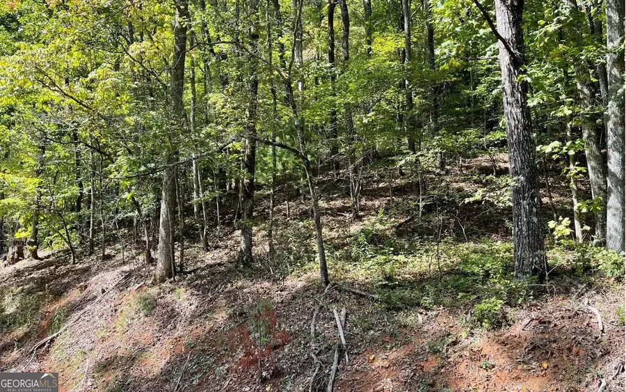 LOT 31 Nelson Ridge, Hayesville, NC 28904 - Image #2