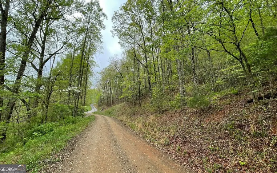 LOT 31 Nelson Ridge, Hayesville, NC 28904 - Image #3