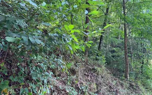 LOT 77 Fires Creek Cove, Hayesville, NC 28904