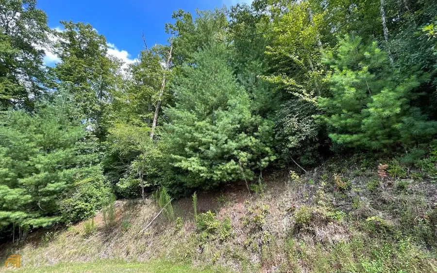 LOT 73 Fires Creek Cove, Hayesville, NC 28904 - Image #2