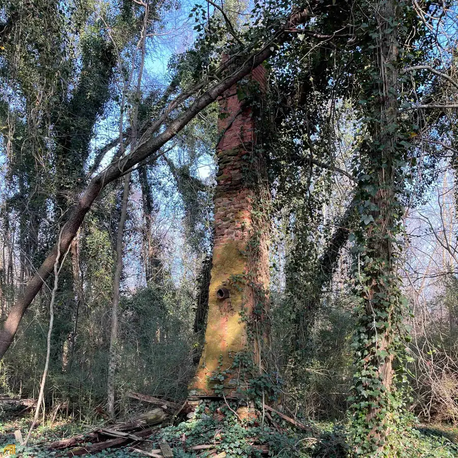 0 Farmers Academy Road, Martin, GA 30557 - Image #2