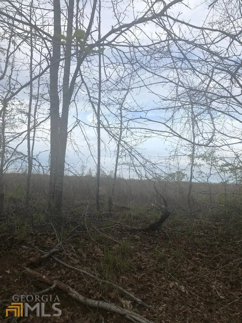 0 Crabapple Drive, Hawkinsville, GA 31036 - Image #1