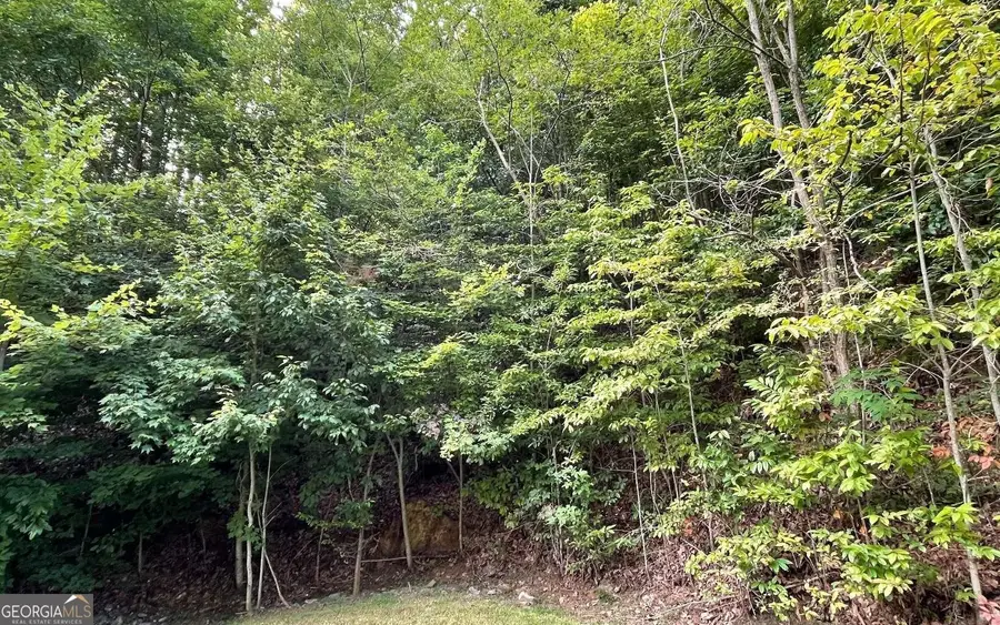 LOT 34 Overlook At Young Harris, Young Harris, GA 30582 - Image #2