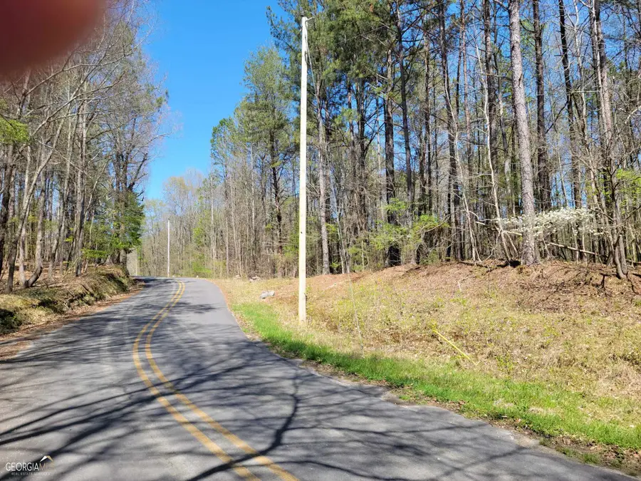 0 Sand Pit Road, Summerville, GA 30747 - Image #3