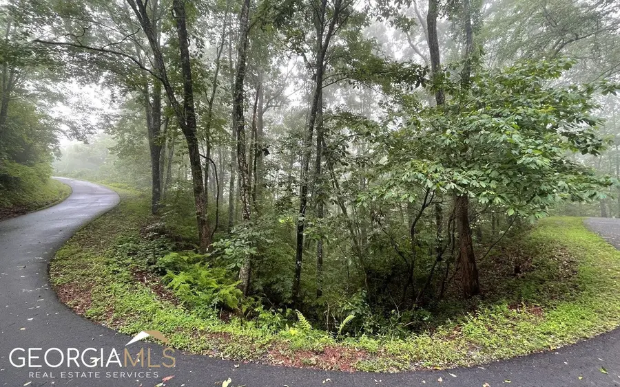 LOT 7 Trillium Heights, Hayesville, NC 28904 - Image #3