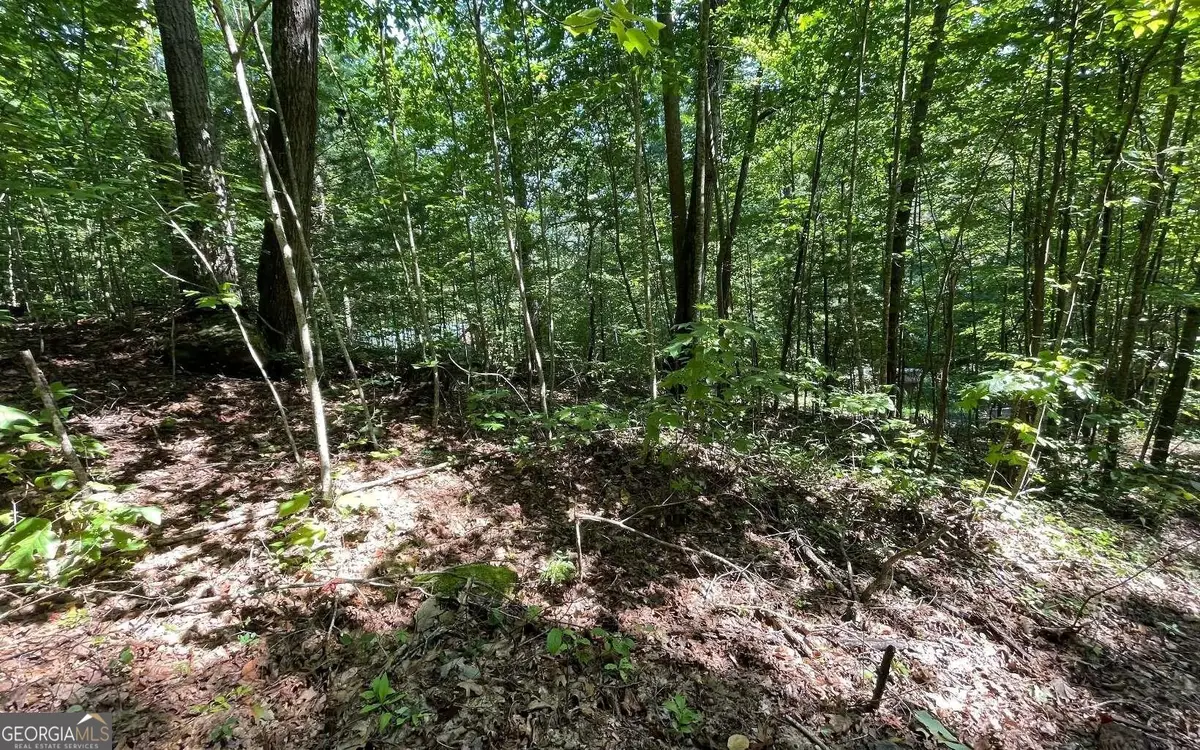 LOT 8D Eagle Heights, Hiawassee, GA 30546 - Image #1