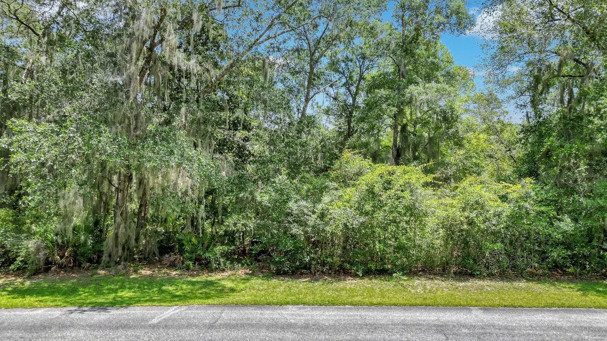 LOT 59 St Joseph's Point, Darien, GA 31305 - Image #1