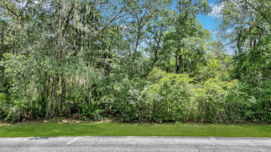 LOT 59 St Joseph's Point, Darien, GA 31305 - Image #2