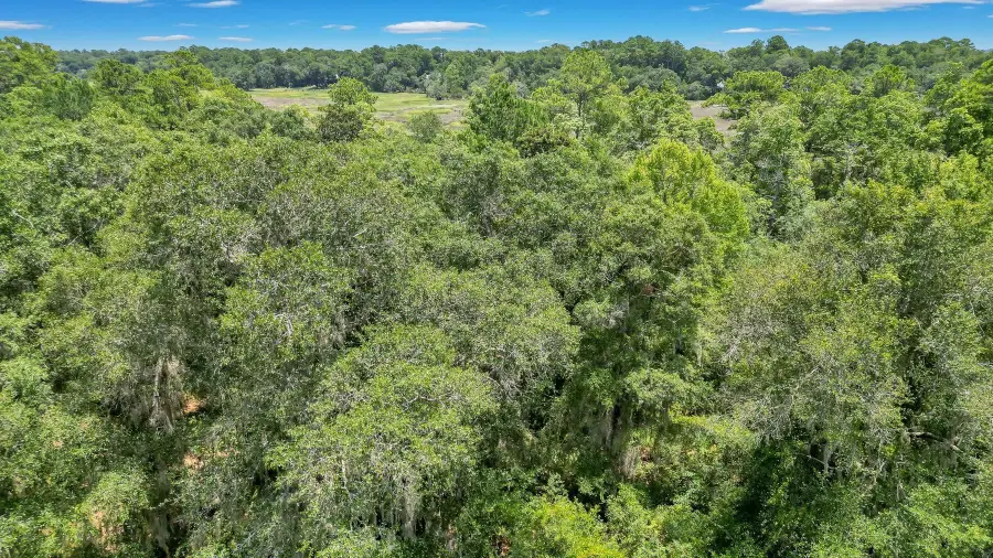 LOT 59 St Joseph's Point, Darien, GA 31305 - Image #3
