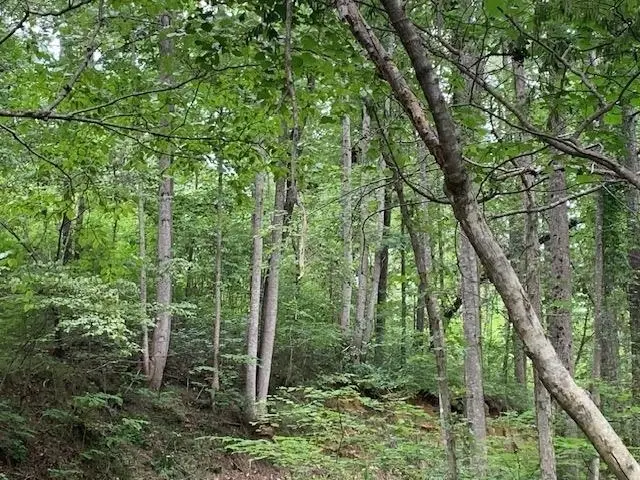 1054 Mount Sinai Road, Lula, GA 30554 - Image #3